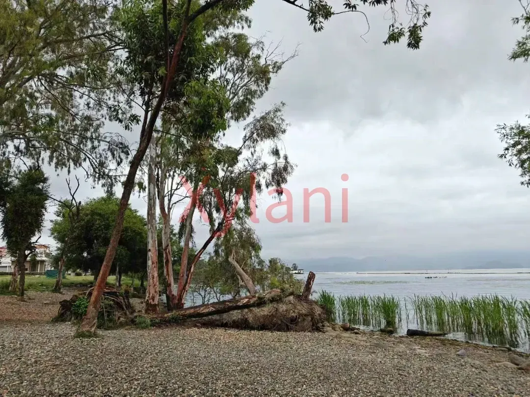 Almost No Other Tourists Here by Erhai Lake