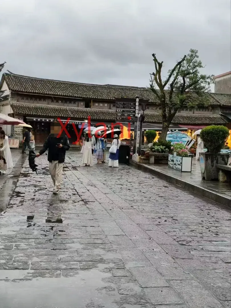 Large Tile-Roofed Houses