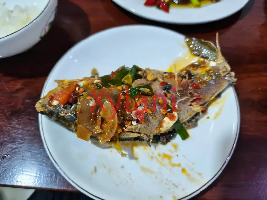 Eat Fish Like This