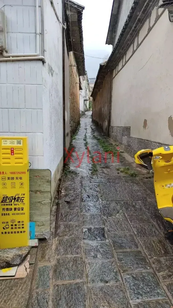 Stone-paved alley