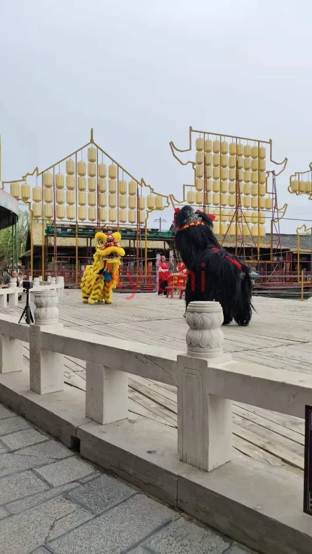 Lion dance