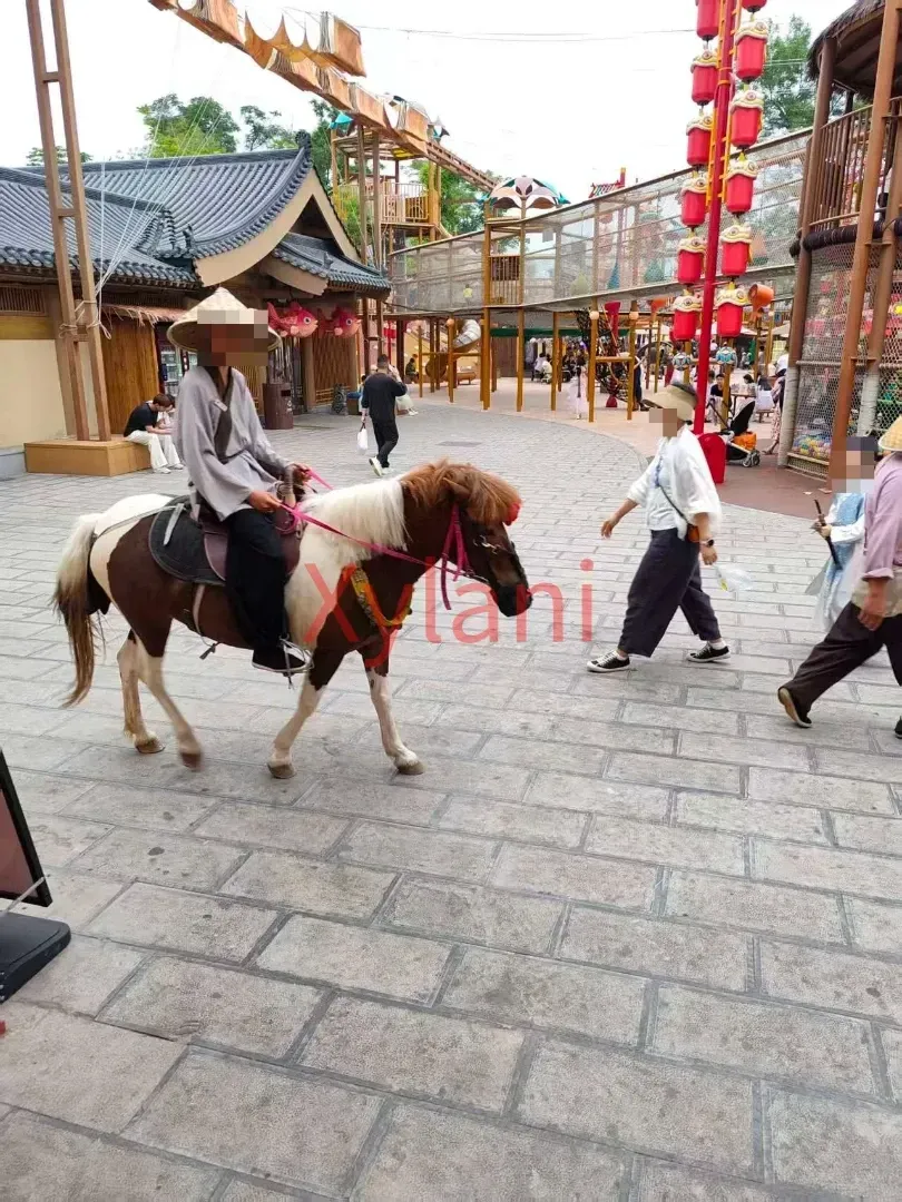 Horse riding