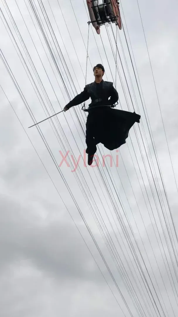 Sword flight