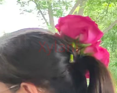 Flower thief