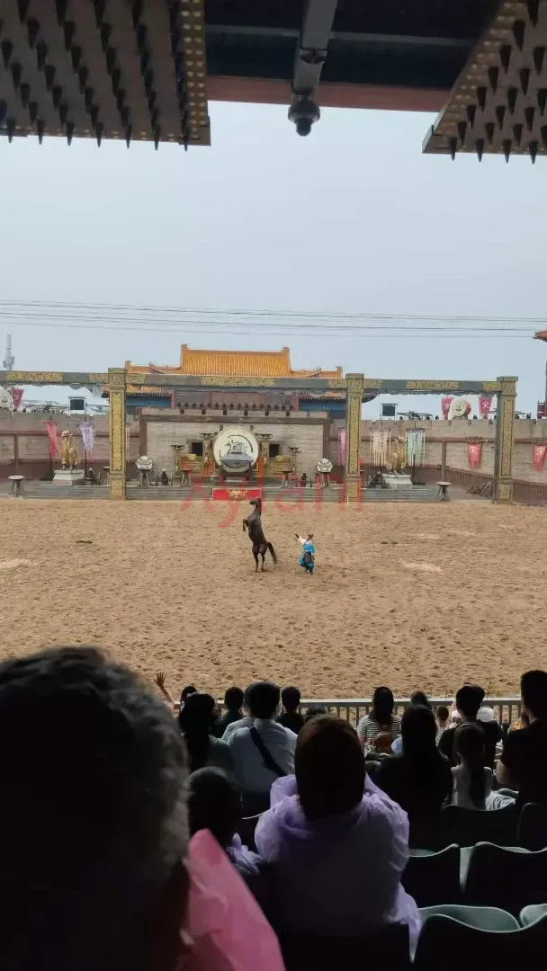 Horse rearing up