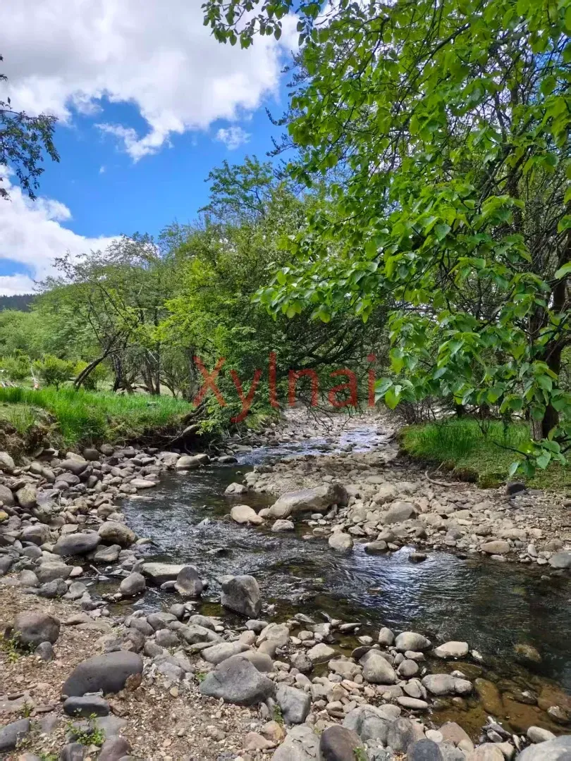 Little Stream