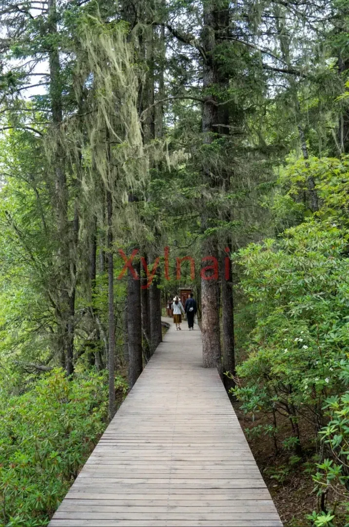 Shudu Lake Boardwalk
