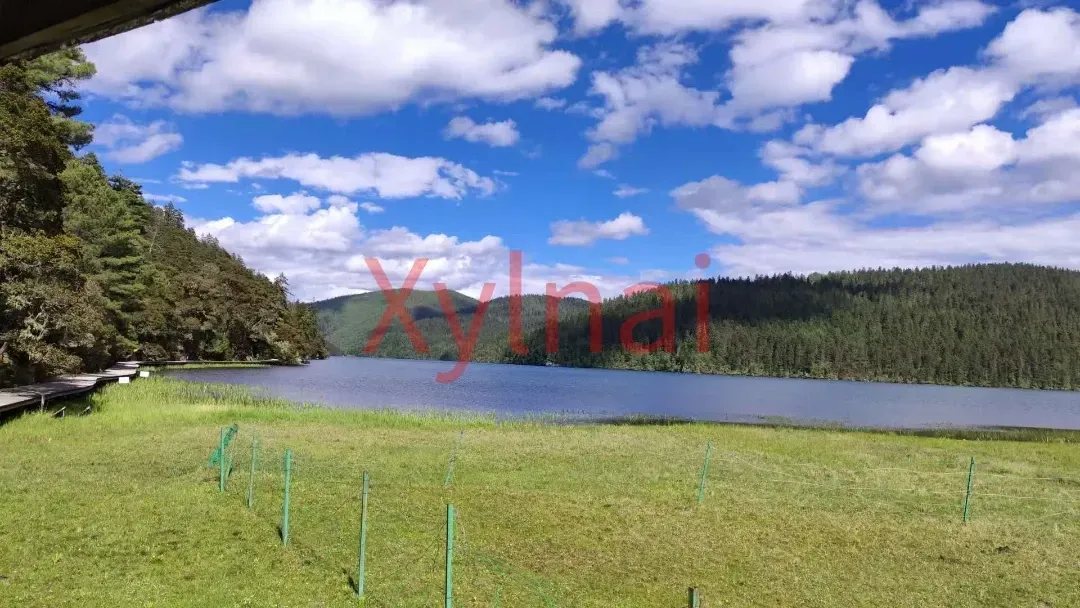 Scenery by the Lake
