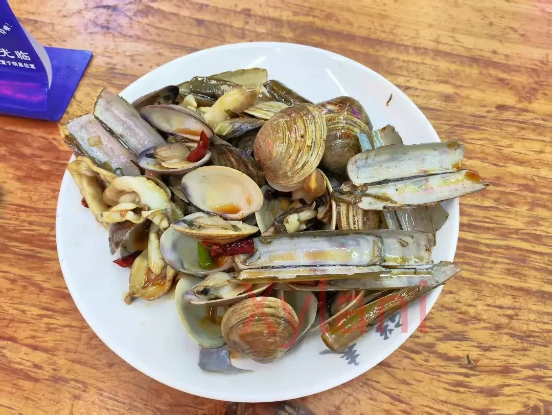 蛏子和其它