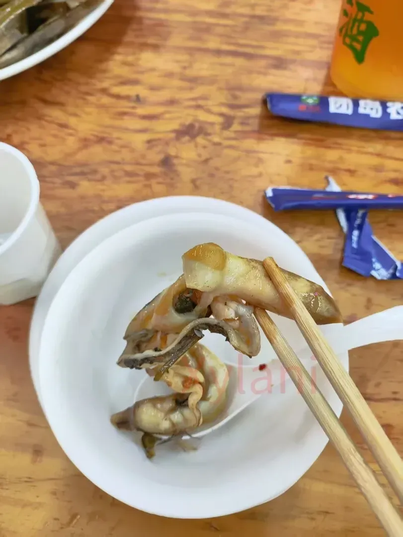 蛏子