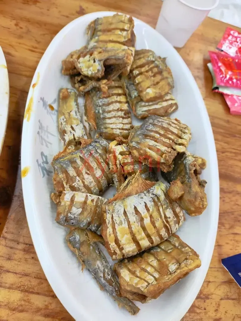 Ribbonfish