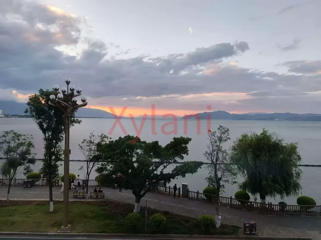 People Strolling After Dinner Below